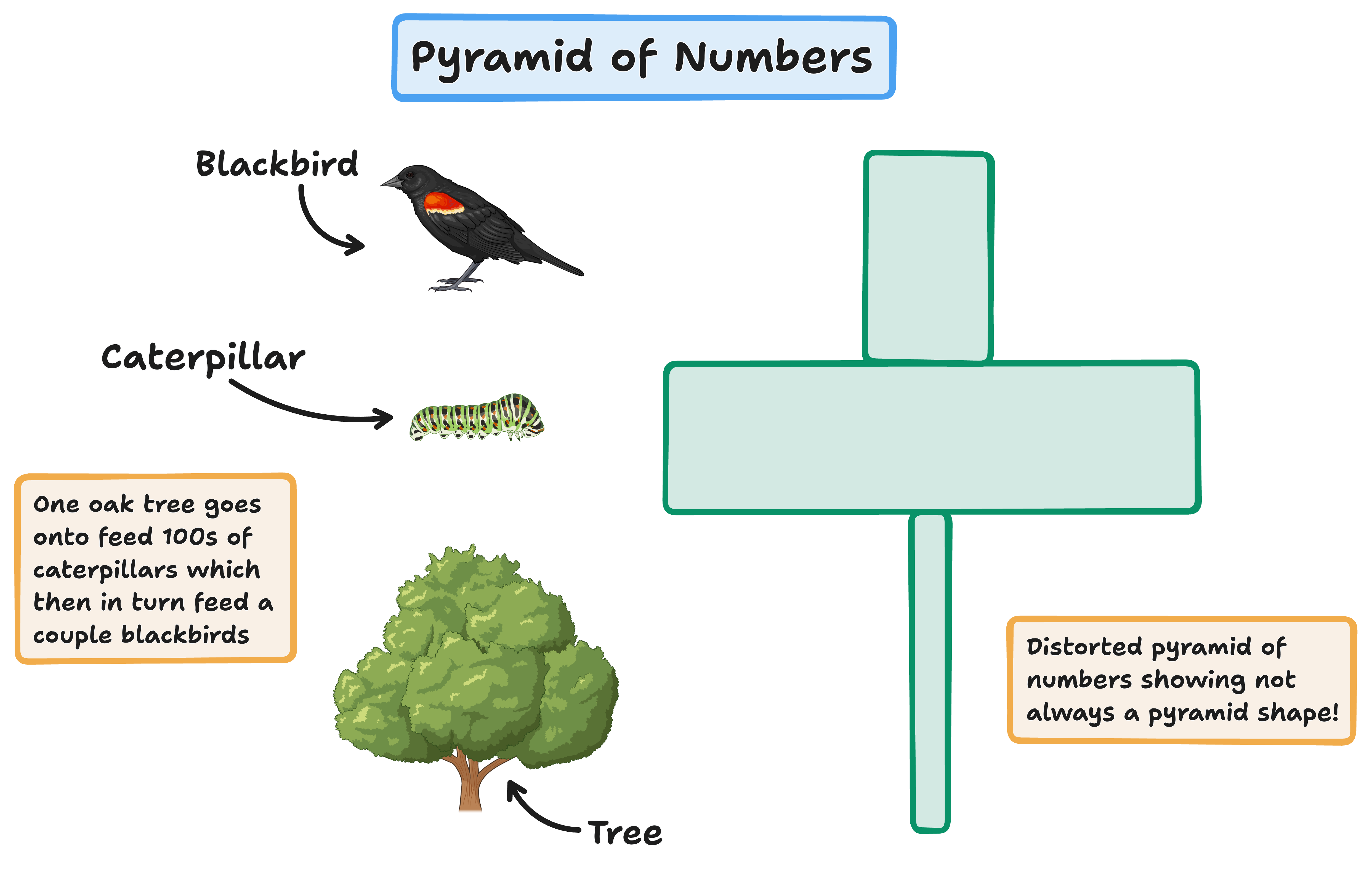 pyramid of numbers example