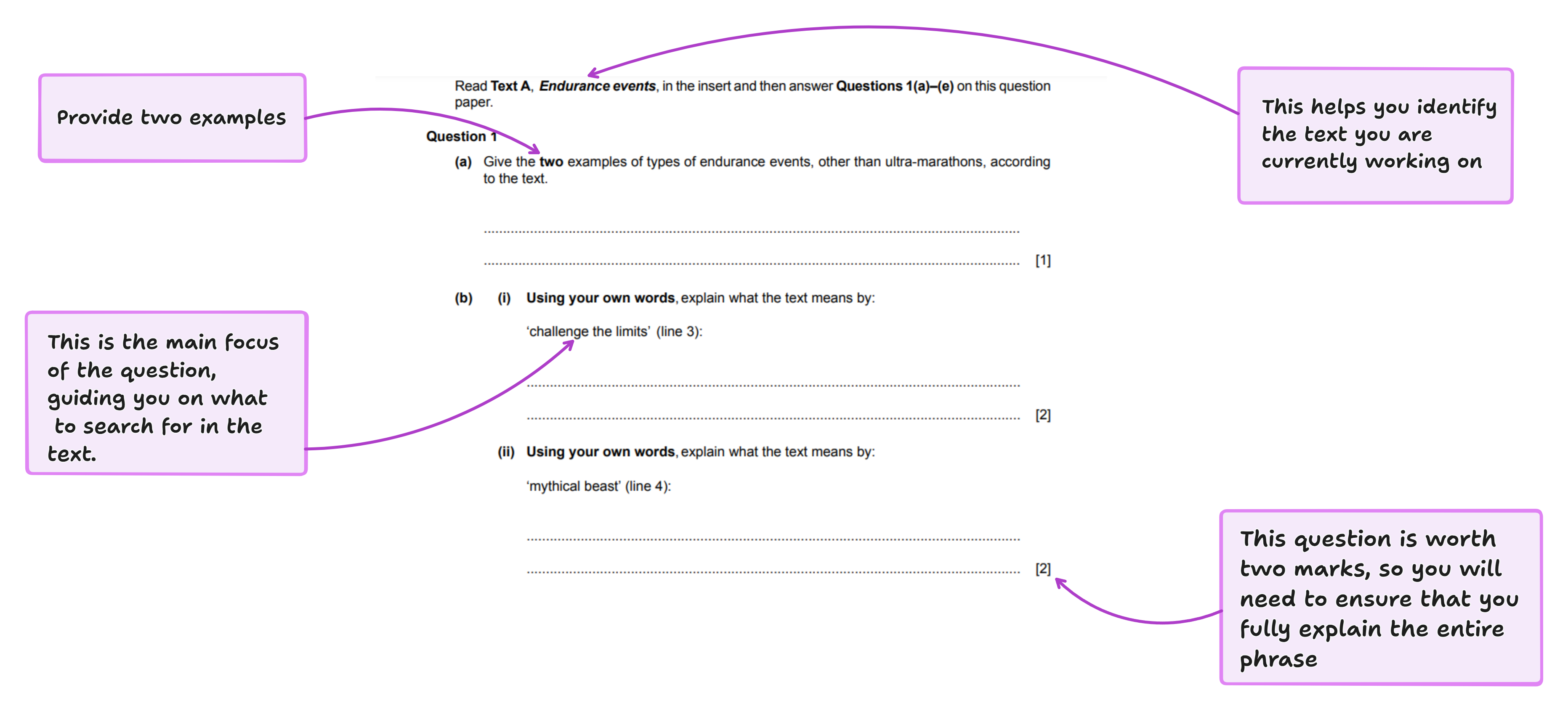 question 1 annotated